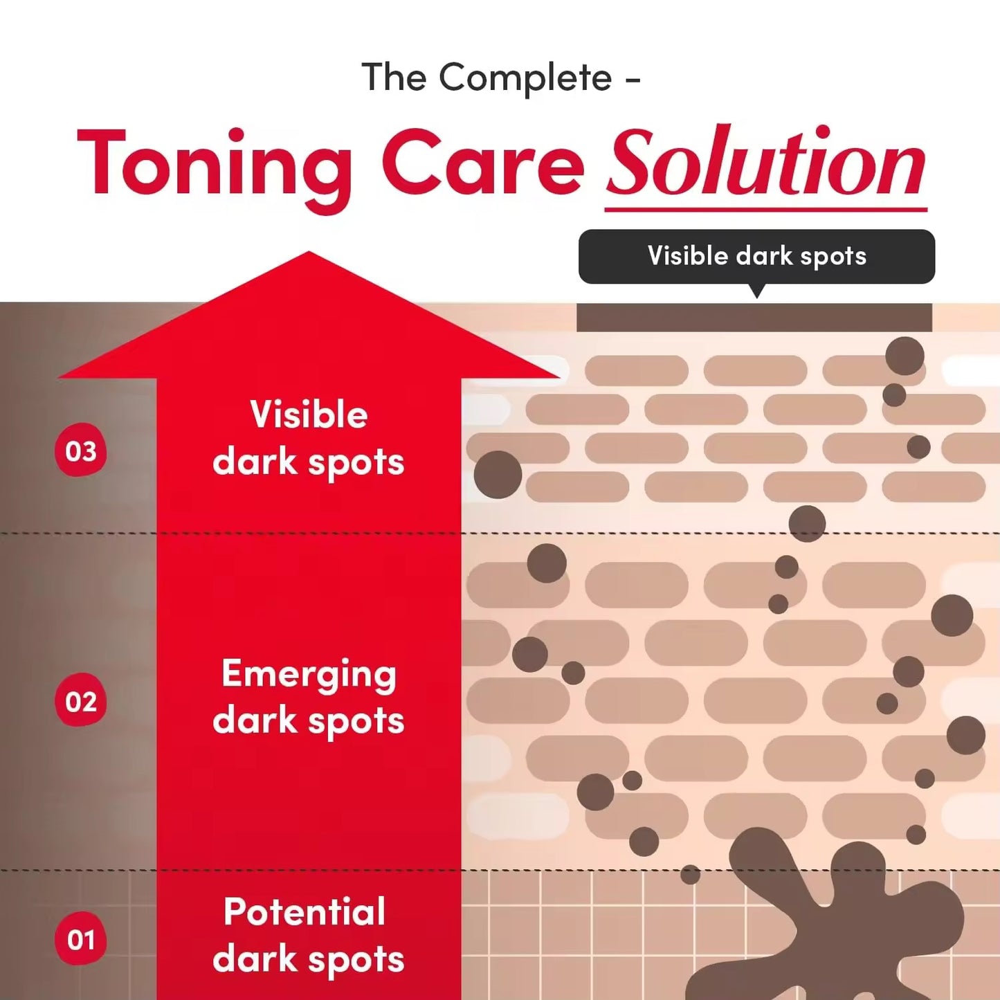 Wholesale Customized Korean SkinCare Vitamin Niacinamide Brightening Serum Repair Skin Barrier Ceramide and Hyaluronic Acid